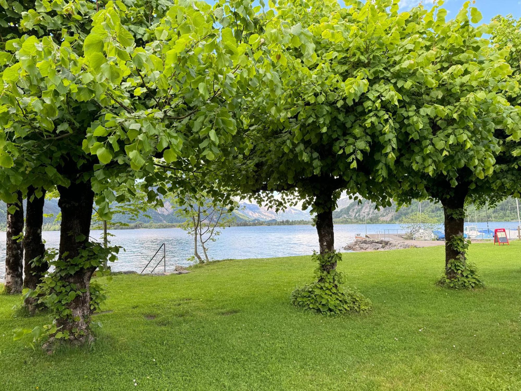 Family Room By Interlaken Parking Därligen Dış mekan fotoğraf